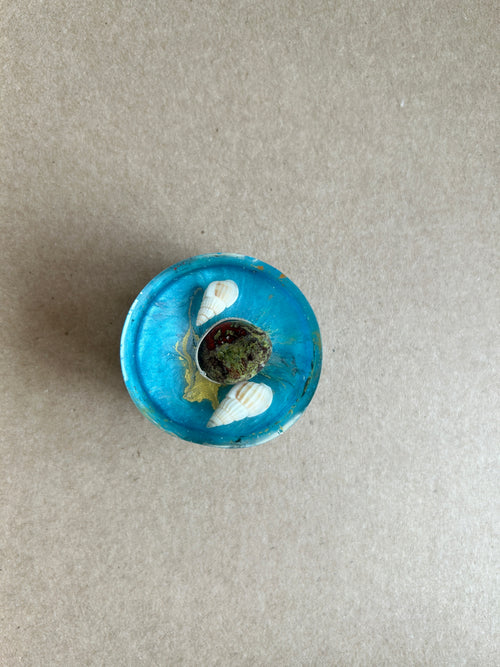 Bright blue paperweight with two pale spiral shells and a dark textured oval centerpiece