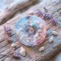 Shell cove resin paperweight styled on driftwood with scattered seashells and soft coastal morning light
